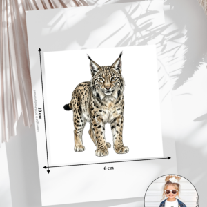 Bügelbild Waldtiere Luchs